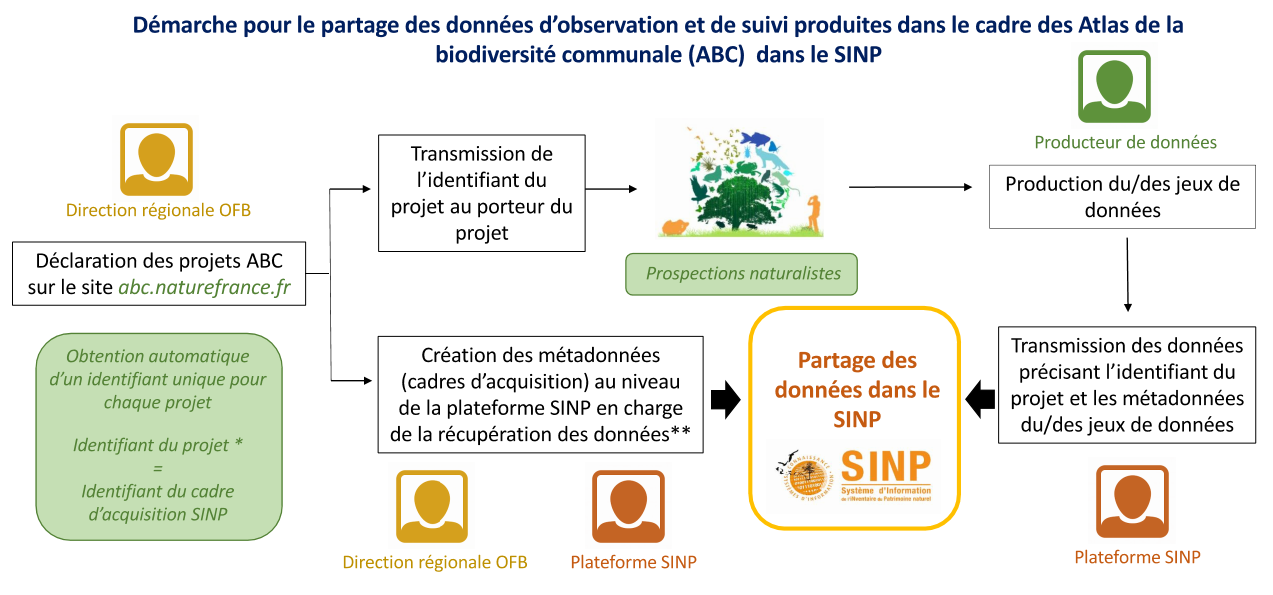 Schéma explicatif pour le partage des données d’observation et de suivi produites dans le cadre des Atlas de la biodiversité communale (ABC)  dans le SINP