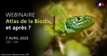 Webinaire_ABC_et_après